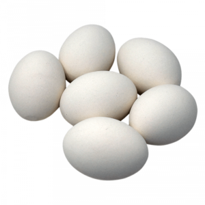 local organic eggs