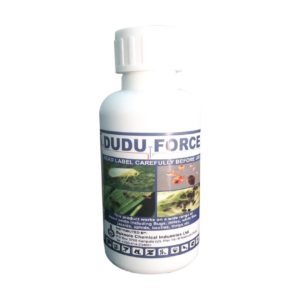 Dudu Force